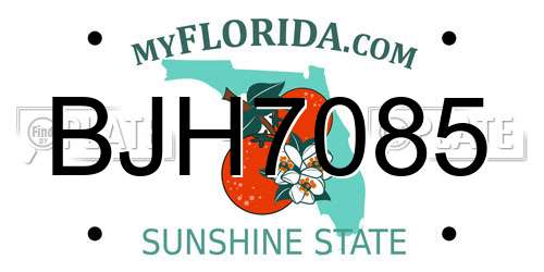 BJH7085 Florida License Plate