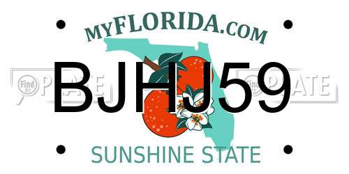 BJHJ59 Florida License Plate