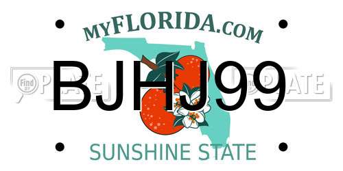 BJHJ99 Florida License Plate