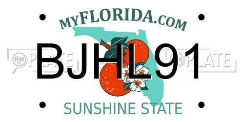 BJHL91 Florida License Plate