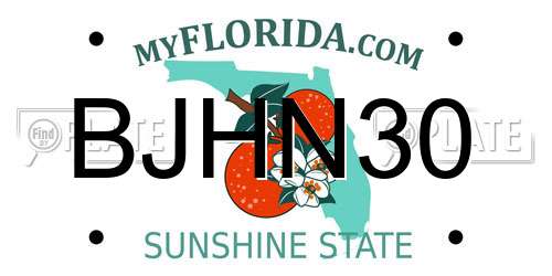 BJHN30 Florida License Plate