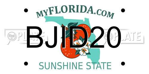 BJID20 Florida License Plate