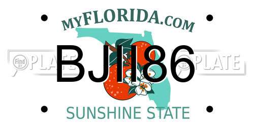 BJII86 Florida License Plate