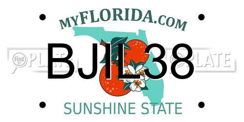 BJIL38 Florida License Plate