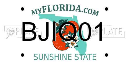 BJIQ01 Florida License Plate