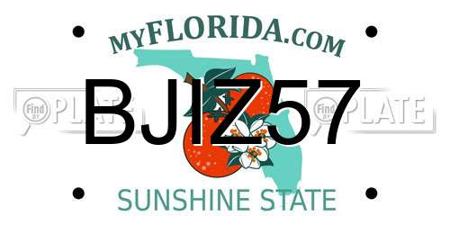 BJIZ57 Florida License Plate