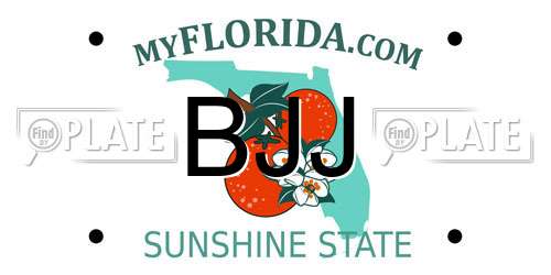 BJJ Florida License Plate