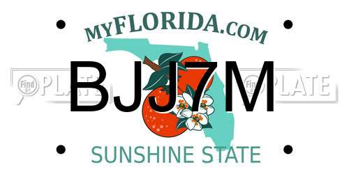 BJJ7M Florida License Plate