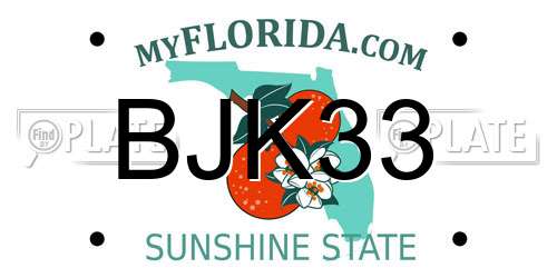 BJK33 Florida License Plate