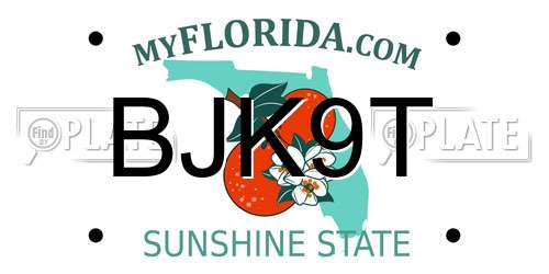BJK9T Florida License Plate