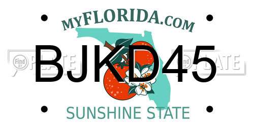 BJKD45 Florida License Plate