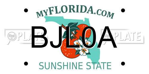 BJL0A Florida License Plate