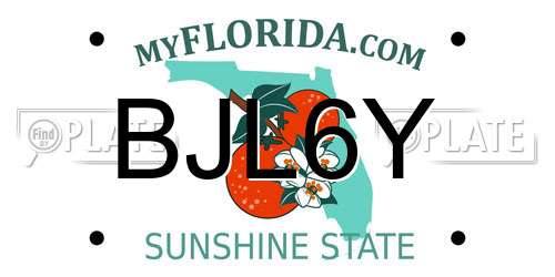 BJL6Y Florida License Plate