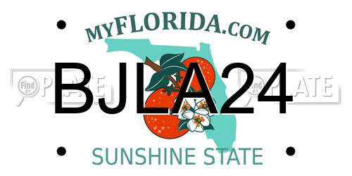 BJLA24 Florida License Plate
