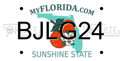 BJLG24 Florida License Plate