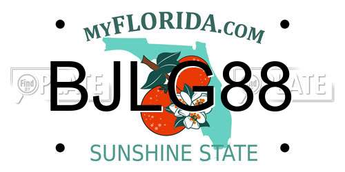 BJLG88 Florida License Plate