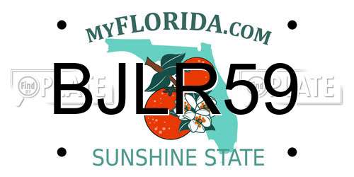 BJLR59 Florida License Plate