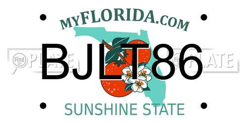 BJLT86 Florida License Plate