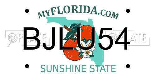 BJLU54 Florida License Plate