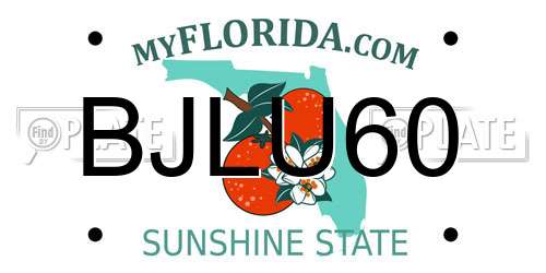 BJLU60 Florida License Plate