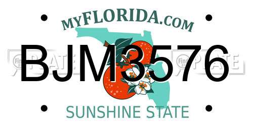 BJM3576 Florida License Plate