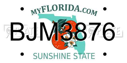 BJM3876 Florida License Plate