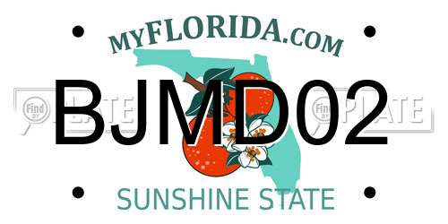 BJMD02 Florida License Plate