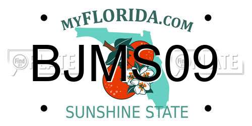 BJMS09 Florida License Plate