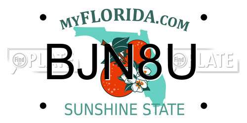 BJN8U Florida License Plate