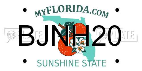 BJNH20 Florida License Plate