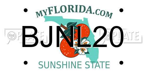BJNL20 Florida License Plate