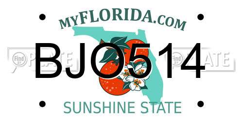 BJO514 Florida License Plate