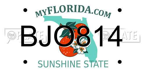 BJO814 Florida License Plate