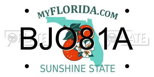BJO81A Florida License Plate