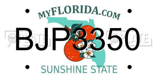 BJP3350 Florida License Plate