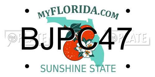 BJPC47 Florida License Plate