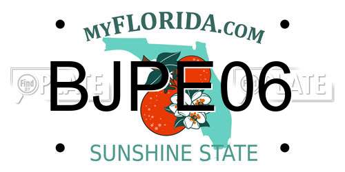 BJPE06 Florida License Plate