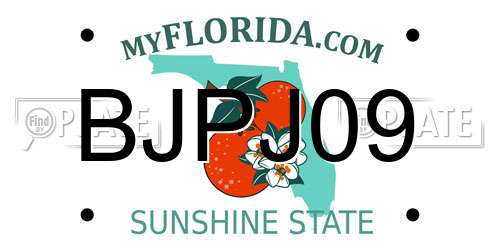 BJPJ09 Florida License Plate