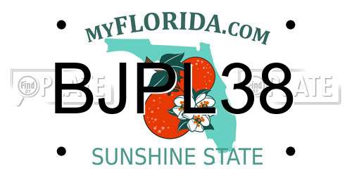 BJPL38 Florida License Plate