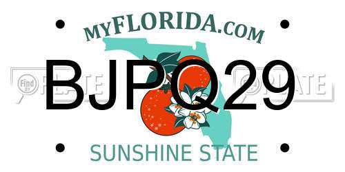 BJPQ29 Florida License Plate
