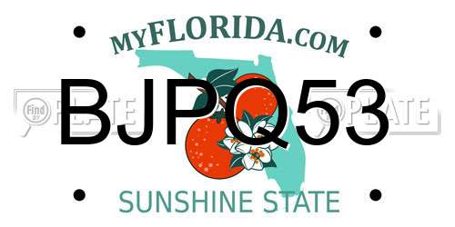BJPQ53 Florida License Plate