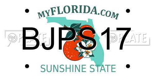 BJPS17 Florida License Plate