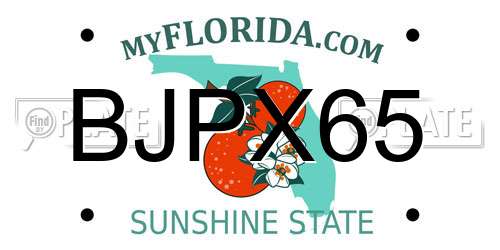 BJPX65 Florida License Plate