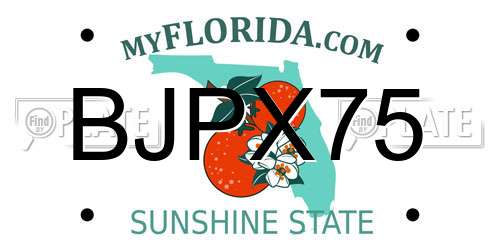 BJPX75 Florida License Plate