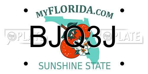 BJQ3J Florida License Plate