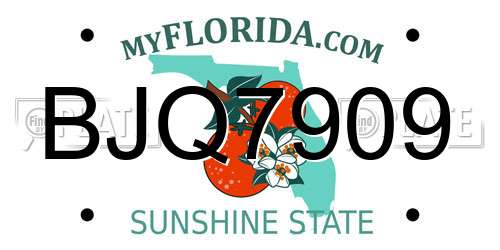 BJQ7909 Florida License Plate