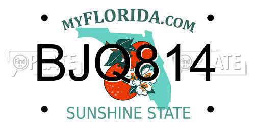 BJQ814 Florida License Plate