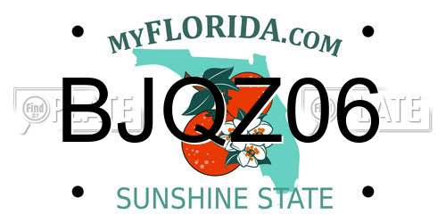 BJQZ06 Florida License Plate