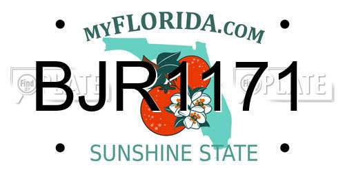 BJR1171 Florida License Plate