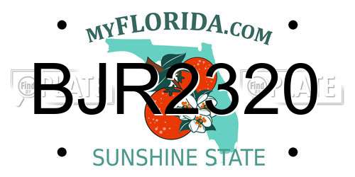 BJR2320 Florida License Plate